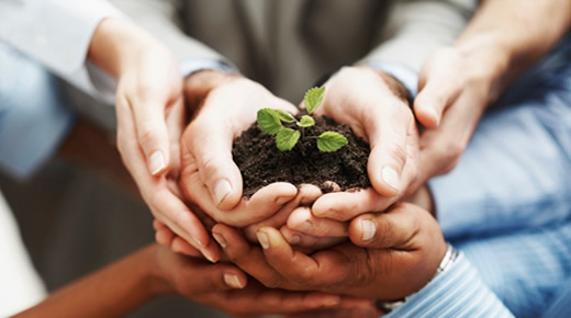 Responsabilidade Ambiental